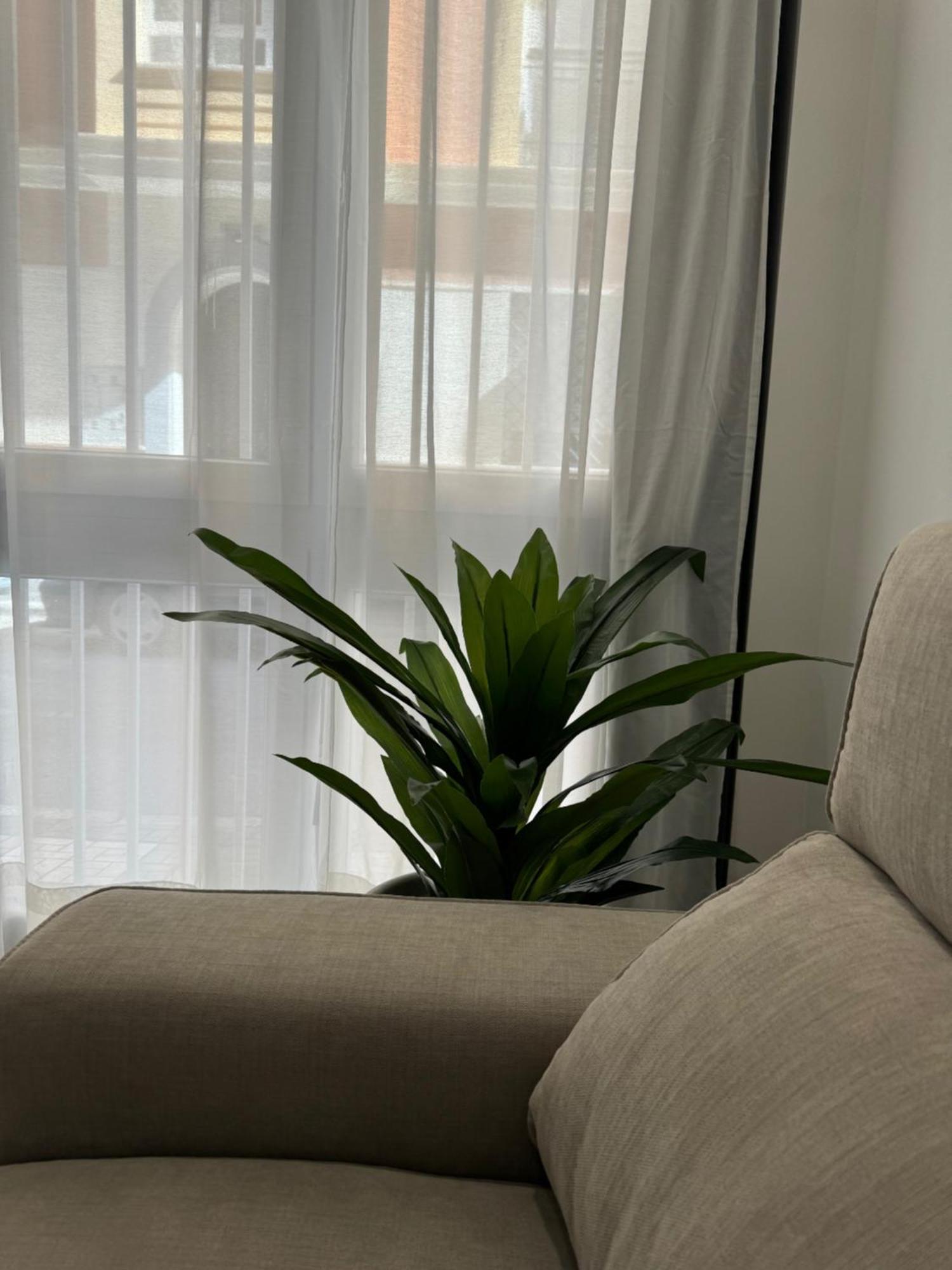 Alderete Suites Málaga Extérieur photo